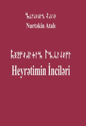 Nurtekin_kitab-- (1)